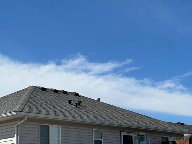 Best Gutter Installation and Repair  in Oxford, MI